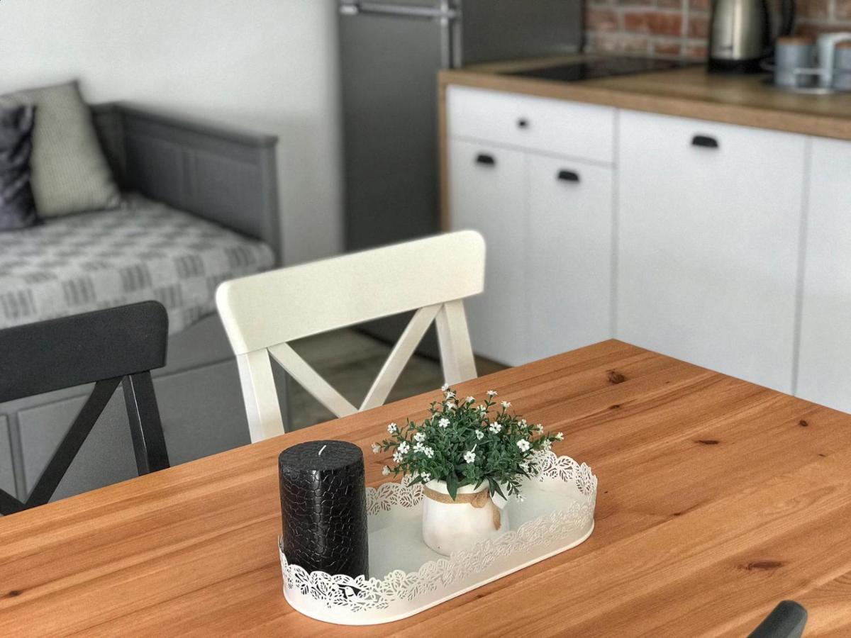 Apartmani Rina Donja Jagodnja エクステリア 写真